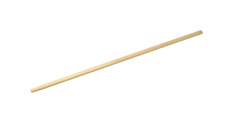 A single green leaf against a white background.